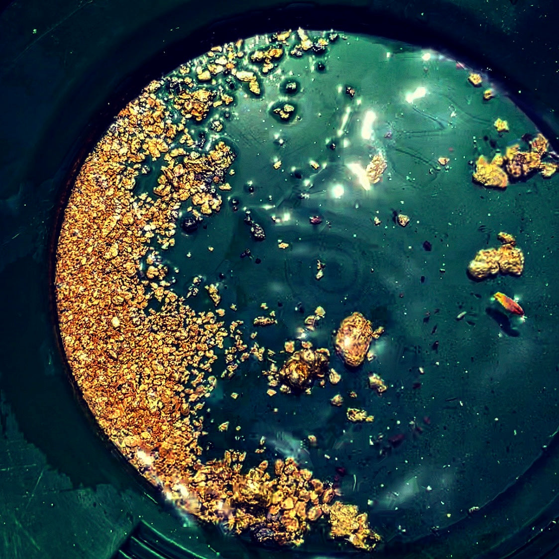 Limited Edition Gold Nugget Hunt