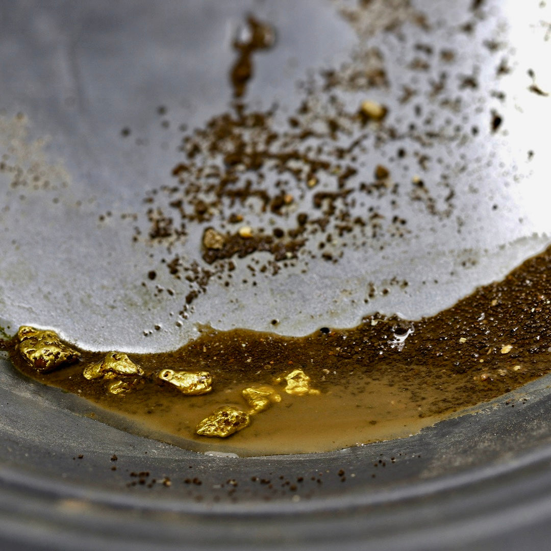 Limited Edition Gold Nugget Hunt